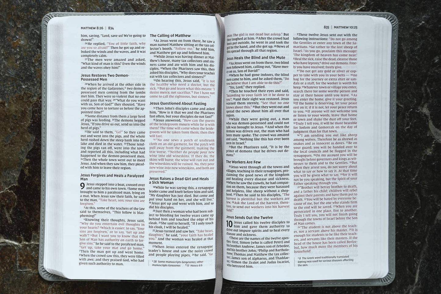 NIV, Bible For Kids