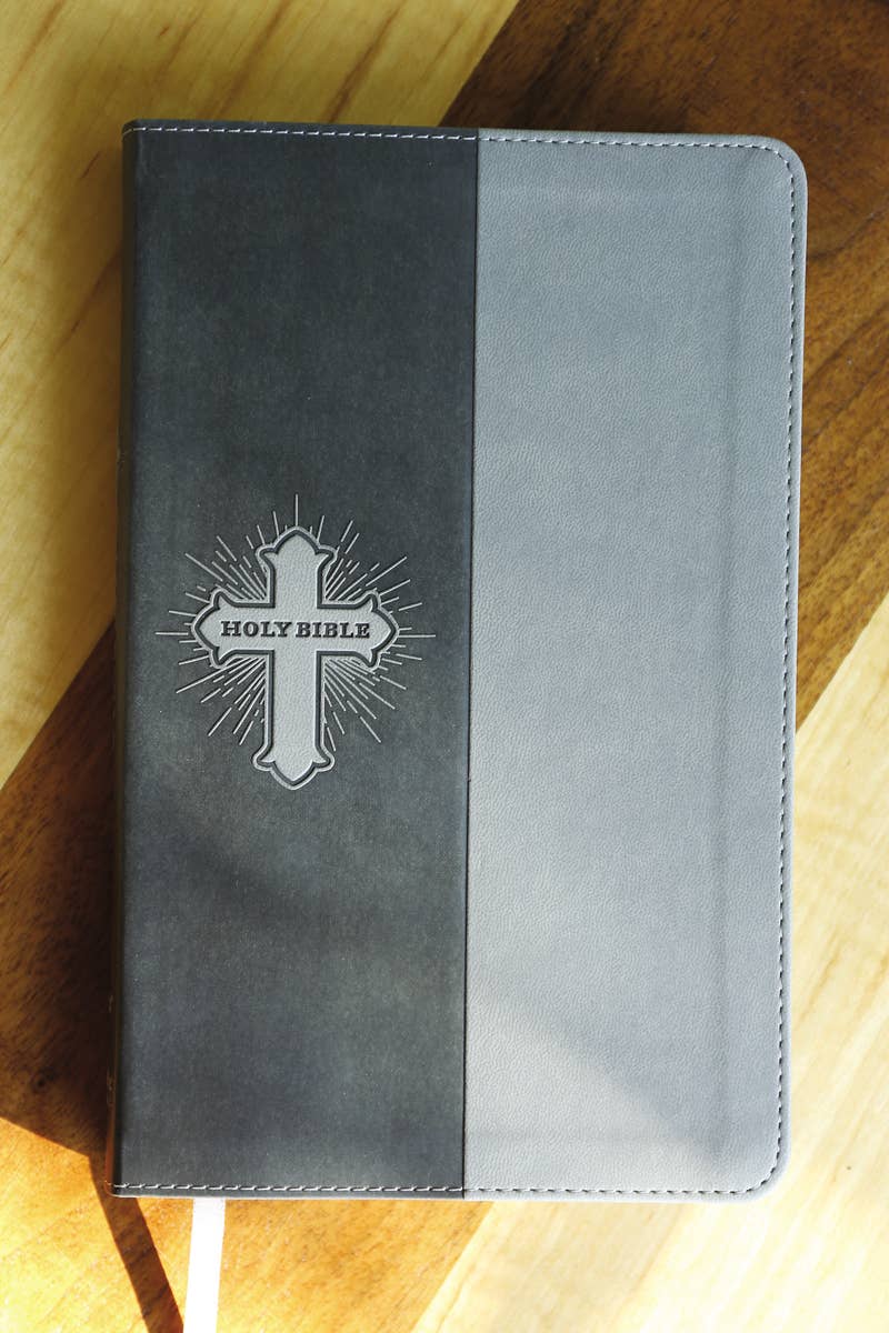NIV, Bible For Kids