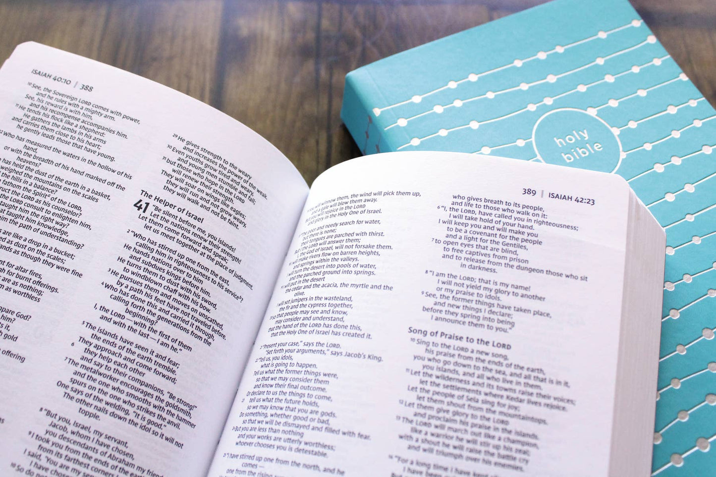 NIV, Holy Bible For Boys