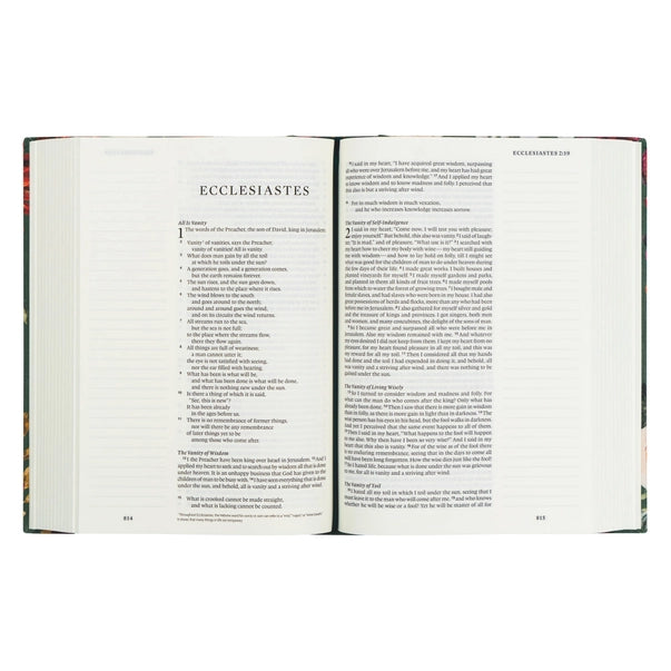 Esv Large Print Journaling Bible : Hollis Theme