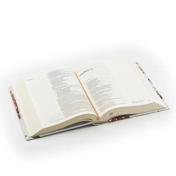 Nlt Notetaking Bible : Madrid Theme