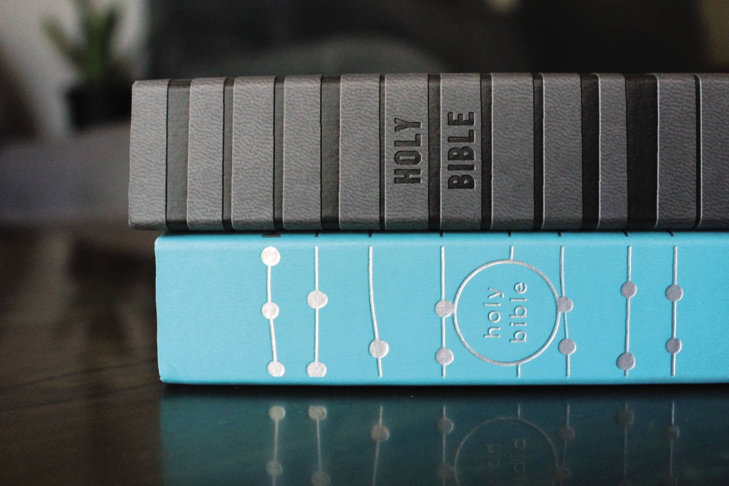 NIV, Holy Bible For Boys