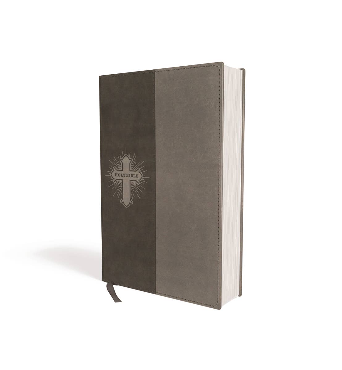 NIV, Bible For Kids