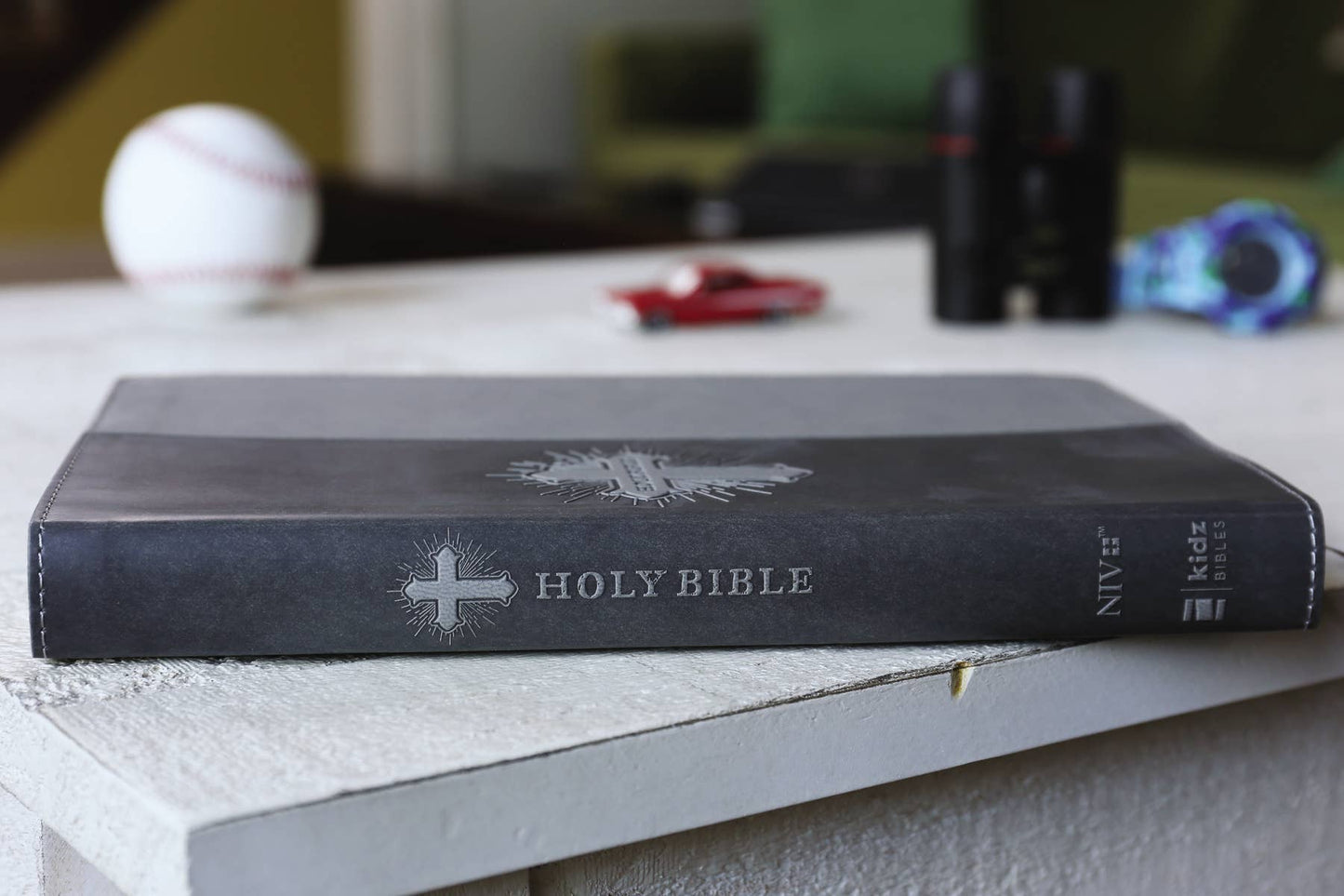 NIV, Bible For Kids